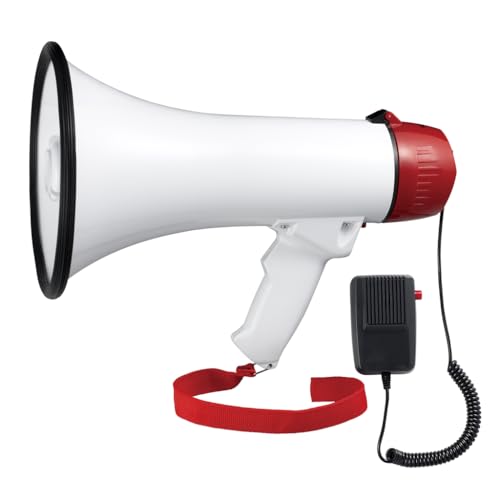 YAZAWA nhKz g ܂肽 10W U TC nfB nh}CN B100m zCg