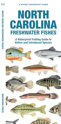 North Carolina Freshwater Fishes: A Folding Guide to Native and Introduced Species (Nature Observation North America)