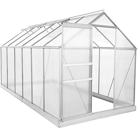 Zelsius Aluminium Gewächshaus für den Garten | inklusive Fundament | 380 x 190 cm | 6 mm Platten | Vielseitig nutzbar als Treibhaus, Tomatenhaus, Frühbeet und Pflanzenhaus Cover