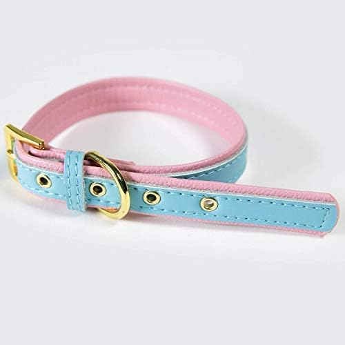 Girl Dog Collar/Cat Collar Adjustable Small - Medium Pink Soft & Comfy Padded Leather Puppy Cute Pet Collars - Sky Blue image 5