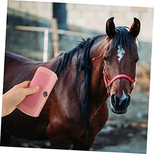 Ipetboom 2 Peças Ferramentas De Massagem Suor De Cavalo Suprimentos De Beleza Ferramenta Raspador De