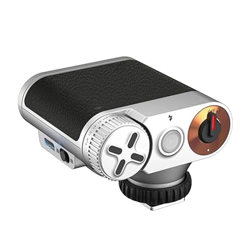 Bewinner Flash Retro de 24W S para Cámara, Mini Flash de Cámara de Cuero Compacto con Reciclaje de 0.2-1.5s, 7 Niveles de Potencia, Batería USB C 1100MAH, Modo óptico S1 S2