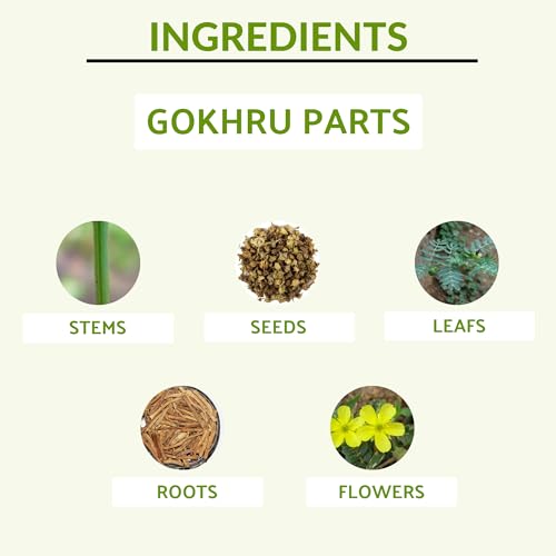 Image of Bharat Gram Udyog Gokhru Panchang - Increase Vitality & Kidney Health (Pack of 1) 1 L