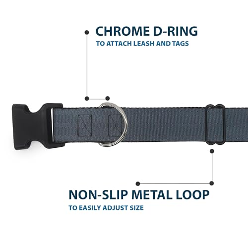 Cuello de clip de plástico negro Buckle Down para panel talla S 6