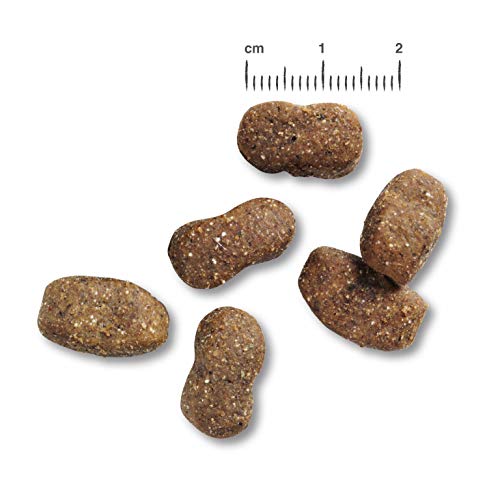 Belcando Adult Lamb & Rice 2 x 12,5 kg Sensitive Ernährung Lamm & Reis