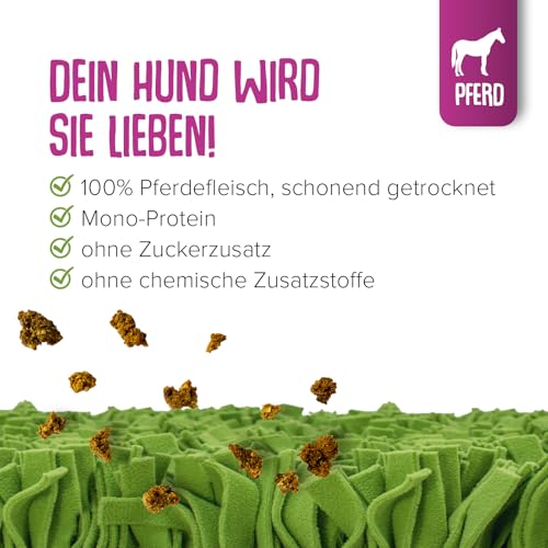 KNAUDER'S Best - Hundeleckerli Schnüffelis Finest - 1x 100g Pferd Snacks - Hunde Leckerlis aus 100% Muskelfleisch - Hundeleckerli getreidefrei & ohne chemische Zusatzstoffe - Leckereien für Hunde