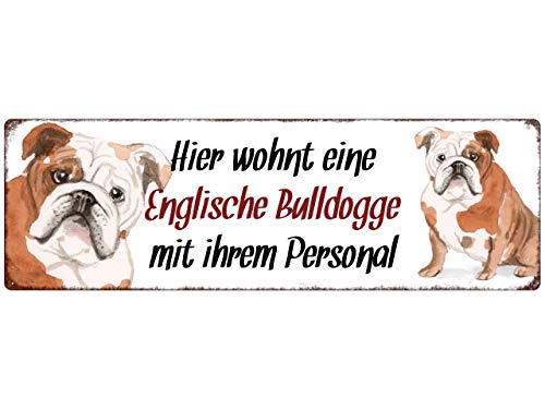 Interluxe Metallschild - Hier wohnt eine Englische Bulldogge - dekoratives Schild, Blechschild als Geschenk für Menschen mit Hund