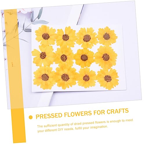 Kit de manualidades con flores secas DIY 24 piezas miniatura 3
