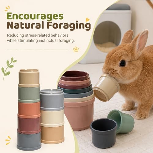 Rabbit Enrichment and Sniffing Toy Set for Small Animals
