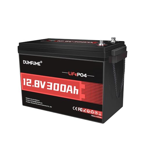 Dumfume Batteria LiFePO4 12V 300Ah, BMS 200A, Potenza 3840W - Batteria Litio 12V per Accumulo Fotovoltaico, Alimentazione di Backup Casa, Campeggio, Tiny House e Uso Commerciale