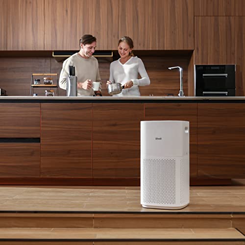 LEVOIT Air Purifiers for Home Large Room