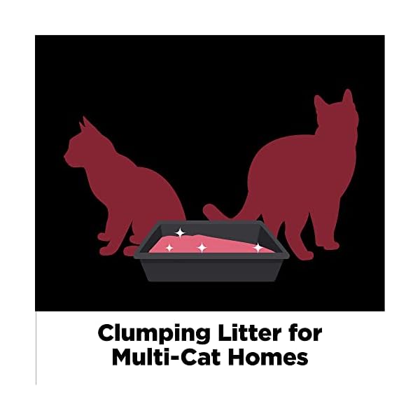 ARM & HAMMER Clump & Seal Platinum Clumping Cat Litter, Gourmetian