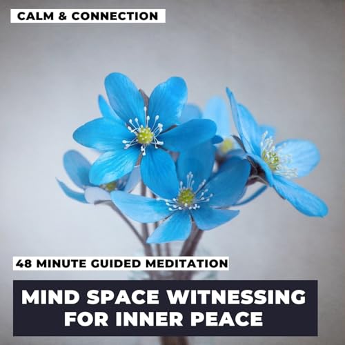 Mind Space Witnessing Titelbild