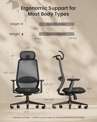 branch ergonomic chair pro