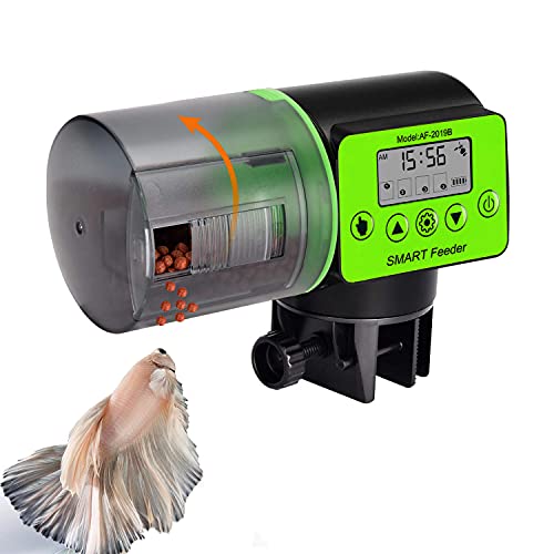 UK Best Automatic Fish Feeder (July 2022)