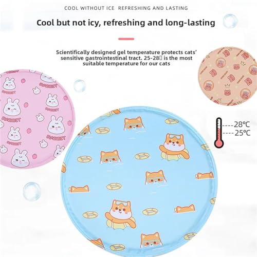 Coussin de glace à injection d'eau pour chat et chien | Tapis 60cm