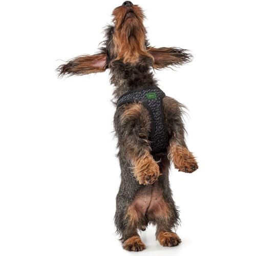 Hundegeschirr Hilo Soft Comfort S, Mesh, grau