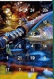 Adventskalender