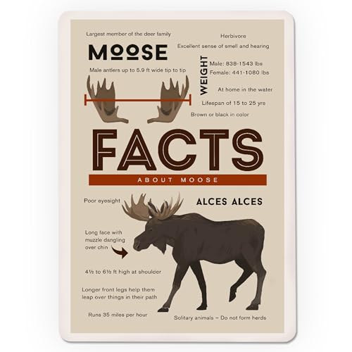 Baraja de Poker Facts About Moose, 52 cartas tamaño póker miniatura 3