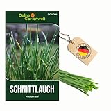 Schnittlauch Medium Leaf Samen - Allium schoenoprasum - Schnittlauchsamen -...