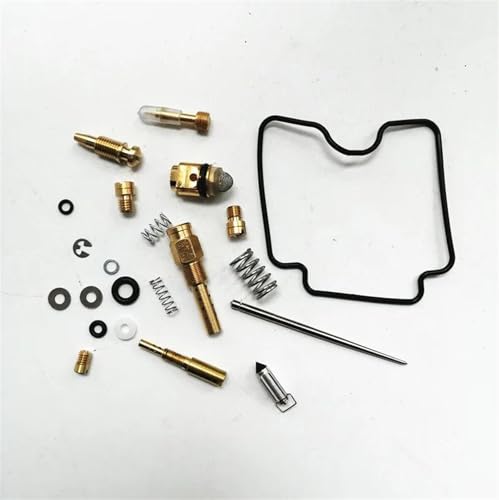 Carburateur Suzuki Z400 kit de réparation complet contre les fuites d'essence du LTZ400