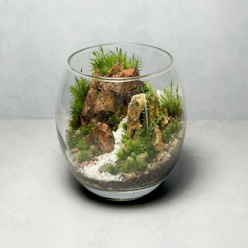 苔テラリウム　No.４９１ 苔テラリウム No.491 苔テラリウム No.90