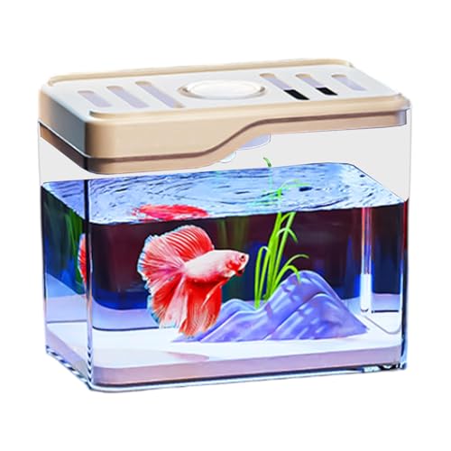 Acuarios Pequeños Completos Marca Generisch