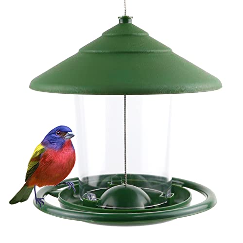 Mangiatoia per uccelli selvatici da appendere