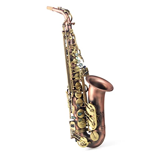 E-Flat Alto Saxophone y͏S҂牉t̂ɓKĂ܂ TbNXS TbNX(J[: 1)