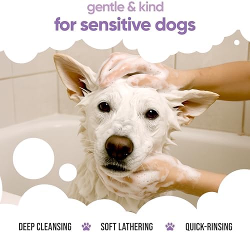 White Dog Shampoo by Buddycare | Dry Skin & Itchy Skin Relief for Smelly Dogs | Deep Cleansing Shampoo for Dogs Puppy Sensitive Skin | Dog Shampoo & Conditioner | with Aloe & Vitamin B5 (16.90oz) — view 4