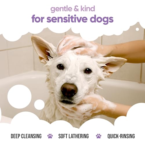 Hundeshampoo Weißes Fell von Buddycare - Aufhellendes und Aufhellendes Shampoo für Hunde - Tiefenreinigung, frisch duftend - Shampoo für weiße Hunde Mit Aloe Vera und Pro-Vitamin B5 (500ml)