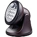 Light It! By Fulcrum, 12-LED Motion Sensor Security Light, Wireless, Battery Operated, Bronze
