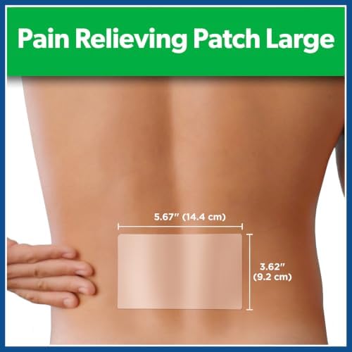 Salonpas Pain Relieving Patch, Large, 6 Count (Pack of 1) - 1