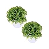Photo Gallery vicasky 2 pezzi pianta bonsai artificiale decorativa in bamboo mesh verde per interni soggiorno Photo Gallery vicasky 2 pezzi pianta bonsai artificiale decorativa in bamboo mesh verde per interni soggiorno