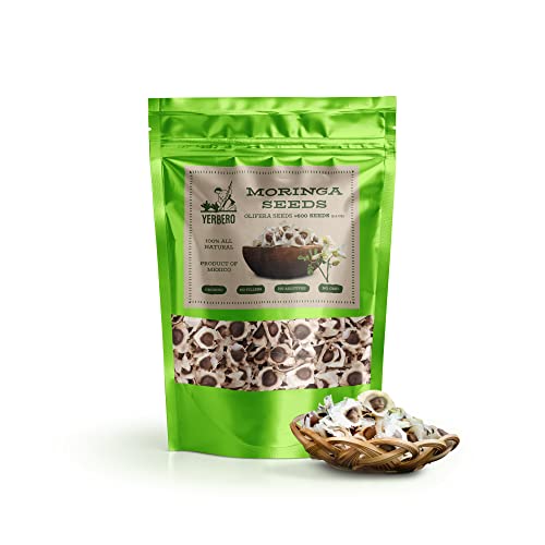 Yerbero - 100% All Natural Moringa Oleifera Seeds (Drumstick Tree) | Edible Planting | Semillas De Moringa Comestibles & para Plantar | Non GMO | Product from Mexico. (600)