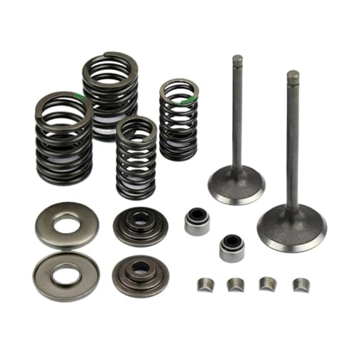Kit de reconstruction pour moteur YP250 résolvant les pertes de puissance