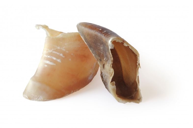 Sabots de Veau - Yuccana (Lot de 20)