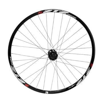 bicycle wheel with disc brake