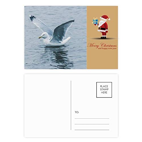 Cartes postales oiseau de mer et ocean lot de 20 cartes de remerciement pour Noel