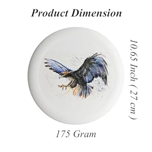   Be-The-Reason-Someone-Smiles-Today-Flying-Discs-Rainbow-Stripes-Ultimate-Standard-Sports-Disc-for-Competitions-Game-Exercise-175-Gram