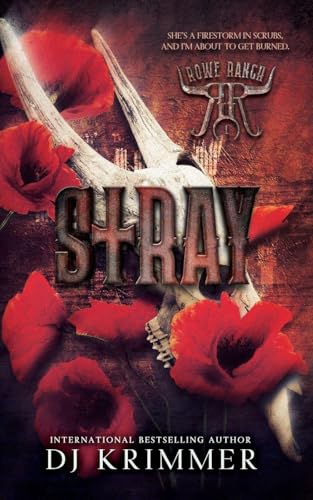 Photo de Stray