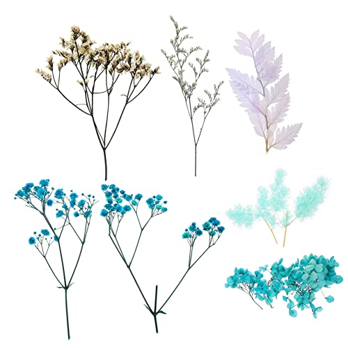 Set Natural de Flores Secas para Manualidades DIY miniatura 1