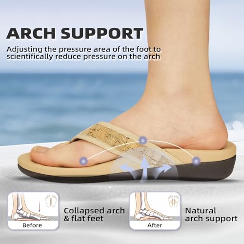 Image of MEGNYA Womens Orthotic Flip Flops, Plantar Fasciitis Sandals for Flat Feet with Arch Support Thong Style Flip Flops, Comfortable Walking Sandals for Beach, Vacation