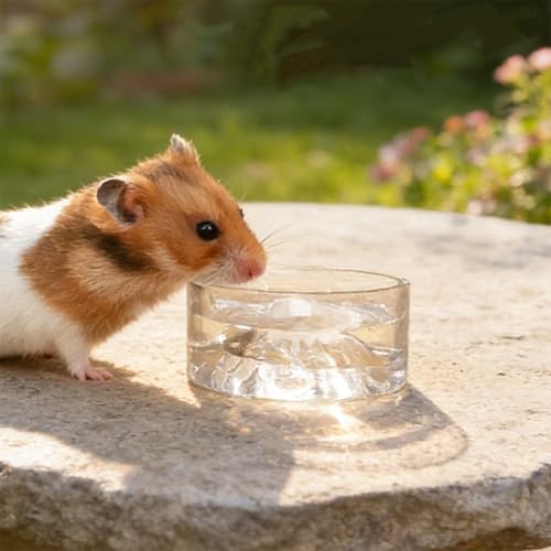 Cuencos de agua para hámster de vidrio pesado que evitan derrames en el sustrato de la jaula 4