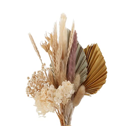 gazechimp Decoração de flores secas, arranjos de folhas e plantas para decoração vaso de decoração d