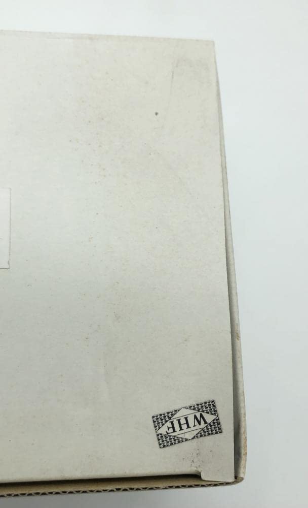 温泉天国　高井さやか　フローラルミント　ガレージキット 温泉天国 高井さやか☆ぱろぱろver. ガレージキット ぱろぱろver