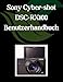 Sony Cyber-shot DSC-RX100 VII Benutzerhandbuch: Ein umfassendes und detailliertes Handbuch für Fotografen und Kreative für Anfänger und Fortgeschrittene, Tipps zur Fehlerbehebung und Erläuterung