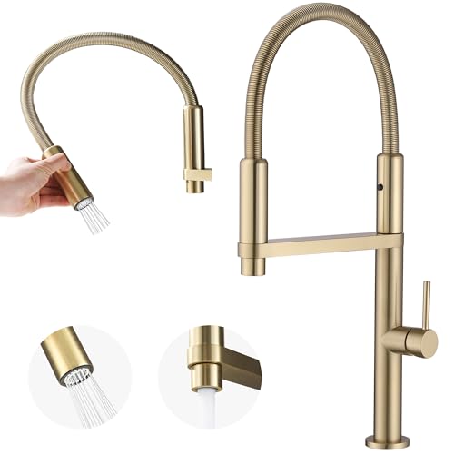 Ialtruistic Gold Brushed Kitchen Faucet