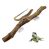 スネーククライミングブランチ｜天然素材の滑り止め登り木｜ヘビ、ヤモリ、ヒゲコウモリトカゲ、カメレオン、カエル向けの登山装飾｜や爬虫類飼育ケージのためのユニークなハビタットデコレーション