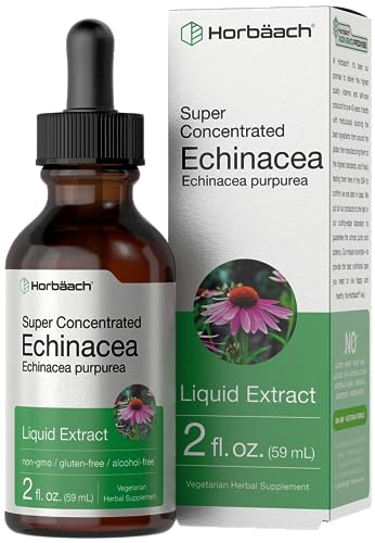 Horbäach QRxLabs Horbaach - Extracto líquido de equinácea | 2 onzas líquidas | Gotas superconcentradas | Sin alcohol, vegetariano, sin OMG y sin gluten